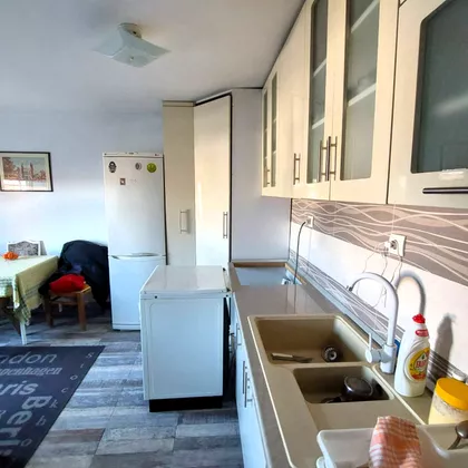 Lole Ribara | 4zida.rs