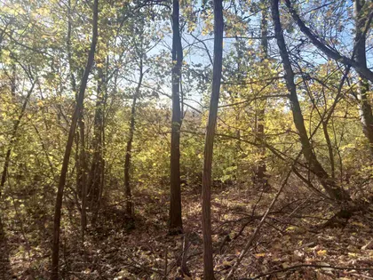 Živkovci | 4zida.rs