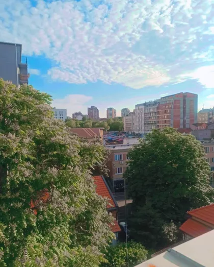 Đeram pijaca | 4zida.rs