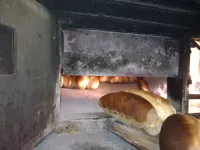 Bulevar despota Stefana, Palilula opština, Beograd | 4zida.rs