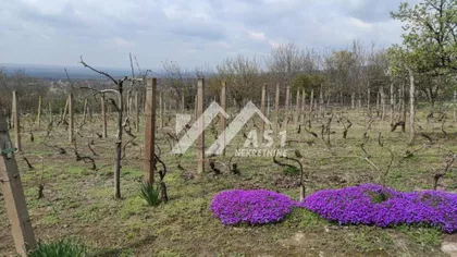 Novi Slankamen | 4zida.rs