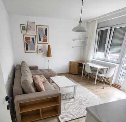 Vojvode Šupljikca | 4zida.rs