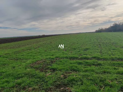 Potez Krčevine | 4zida.rs