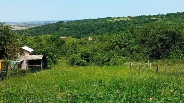 Plac | 4zida