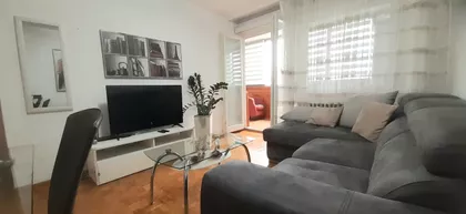 Dr Ivana Ribara | 4zida.rs