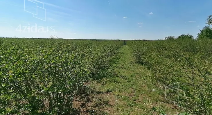 Poljoprivredno zemljište | 4zida