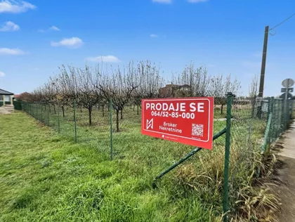 Misa Vinogradi | 4zida.rs