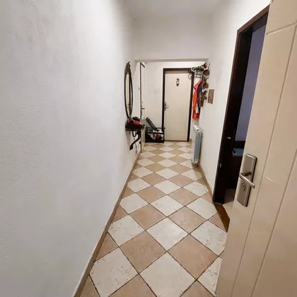 Straška Pindžura | 4zida.rs