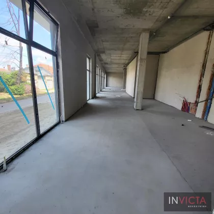 Salajka | 4zida.rs