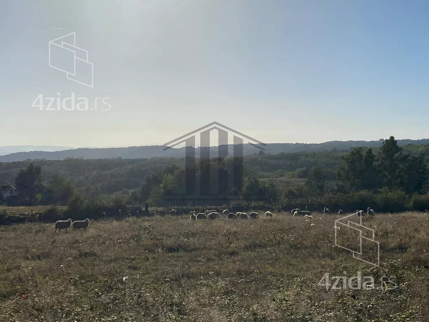Plac | 4zida