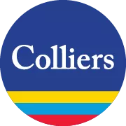 Vladimir Popović avatar