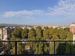 Milan avatar