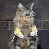 Ana Savic avatar