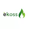 Ekoss 12V Čolić avatar