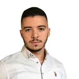 Branimir Lejić avatar