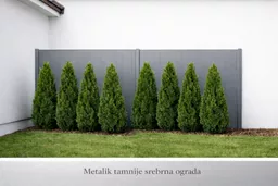 Stan za izdavanje avatar