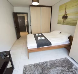 Aleksandar Stojanovic avatar