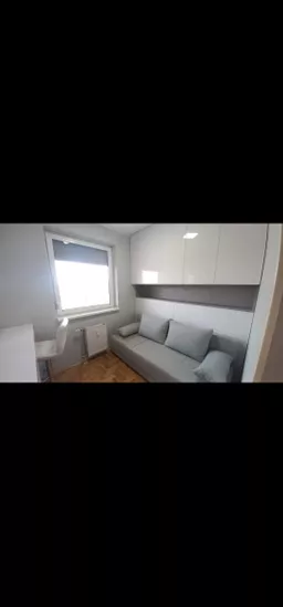 Svetlana Pavlišanov avatar