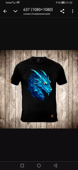 Sasa Petrovic avatar