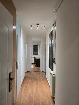 Mihailo Trifunovic avatar