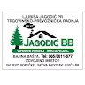 Ljubisa Jagodic avatar