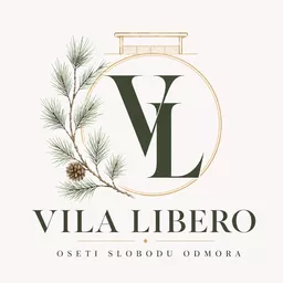 Vila Libero avatar