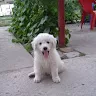 Milla Krnic avatar