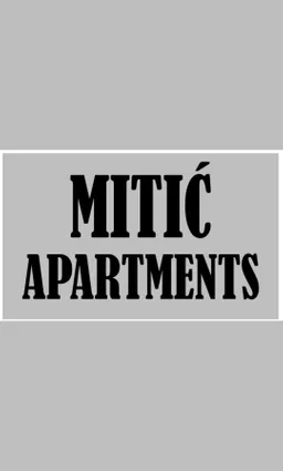 Milan Mitić avatar