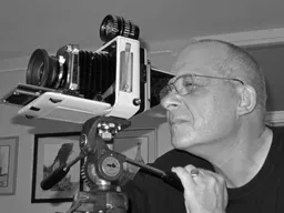 Nenad Nikolić avatar