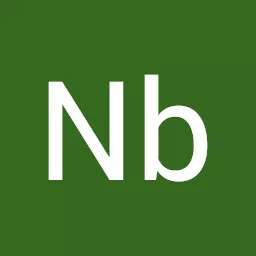 Nb ex16 avatar