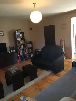 Danijela Ilić avatar