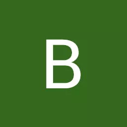 Biljana Djordjevic avatar