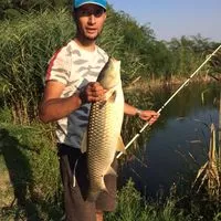 Pera Nikolic avatar