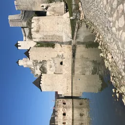 Tijana Tina Prisunjak avatar