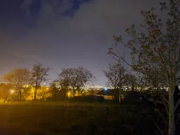 Dragana Jandric avatar