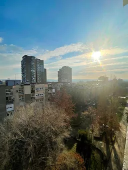 Tanja Popović Nikitović avatar