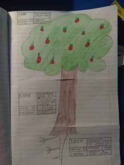 Aleksandar Lazovic avatar