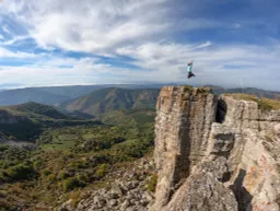 Irina Radivojević avatar