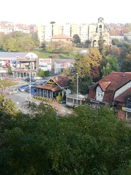 Mirjana Sakotic avatar