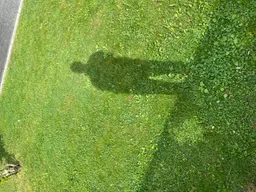 Nemanja Bozic avatar