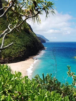 Petrovic Petar avatar