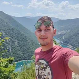 Igor Vidić avatar