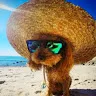 Super Dzy avatar