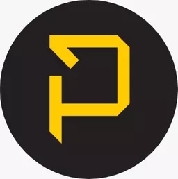 Palace Real estate avatar