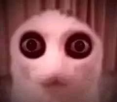 D avatar