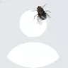 Thea Knez avatar