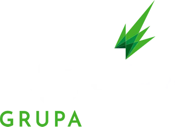 Inspira grupa