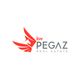 Pegaz Real Estate doo Leskovac avatar