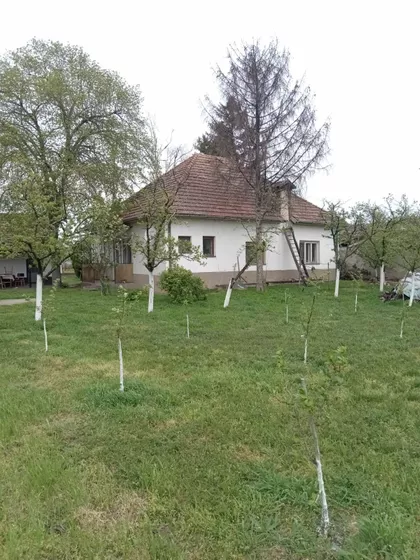 Bogdanović Jovana 9 | 4zida.rs