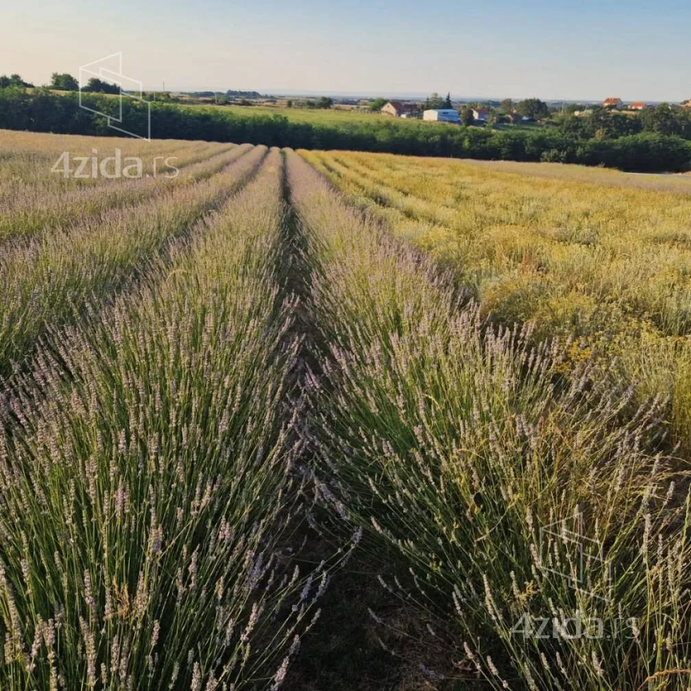 Poljoprivredno zemljište | 4zida